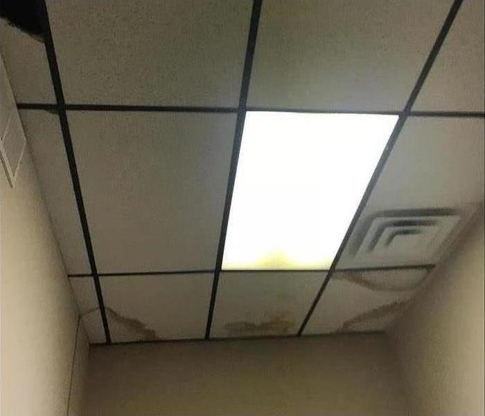 Ceiling tiles with visible water damage in Cleveland