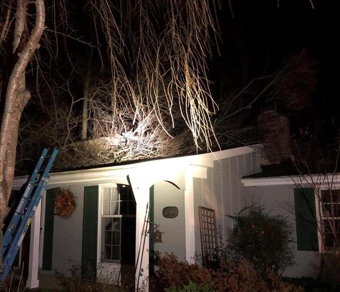 Tree on home's roof